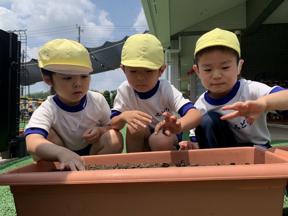 いたわりの気持ちを養う